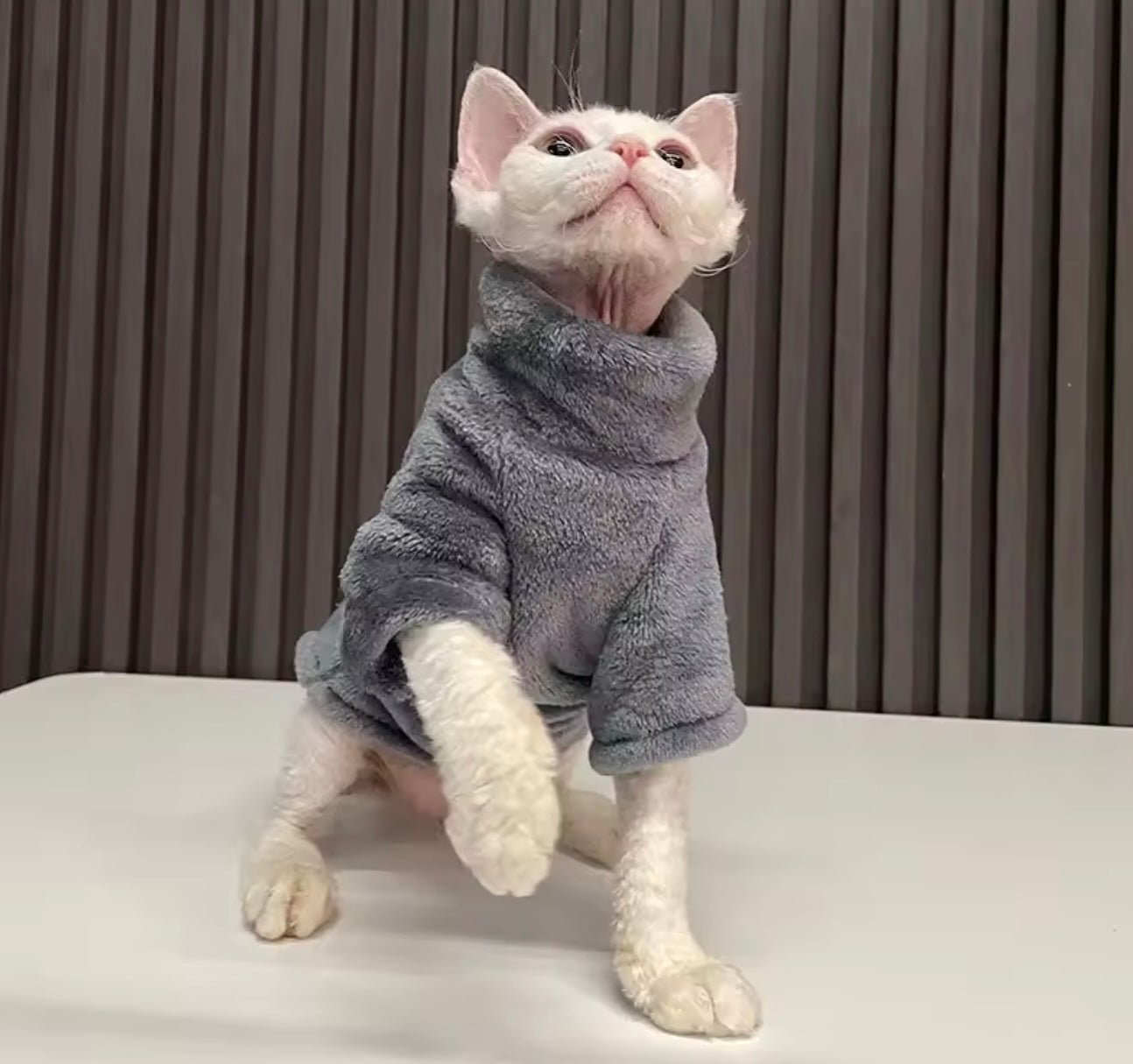 Pull pour chat | Chaleureux - Happy Miaou