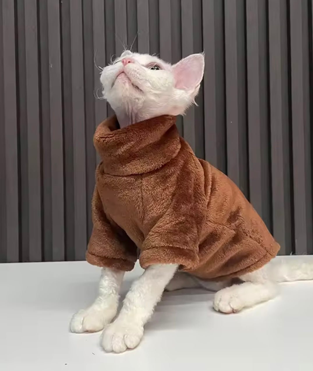 Pull pour chat | Chaleureux - Happy Miaou