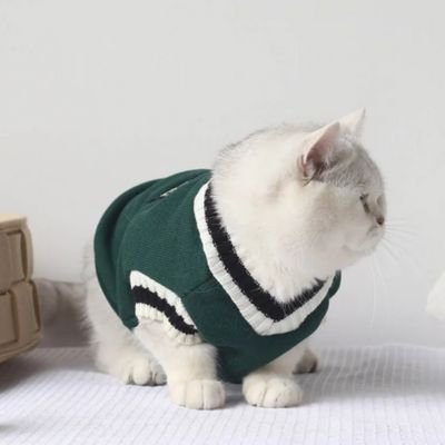 Pull pour chat | Douillet - Happy Miaou