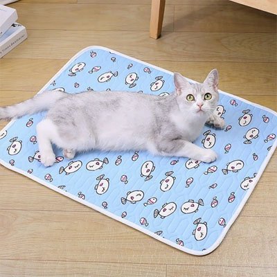 Tapis rafraichissant Chat | CoolComfort - Happy Miaou