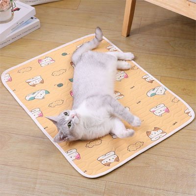 Tapis rafraichissant Chat | CoolComfort - Happy Miaou