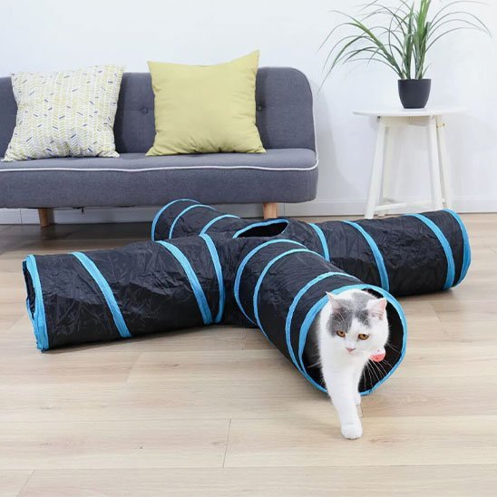 Tunnel pour chat pliable | Douillet - Happy Miaou
