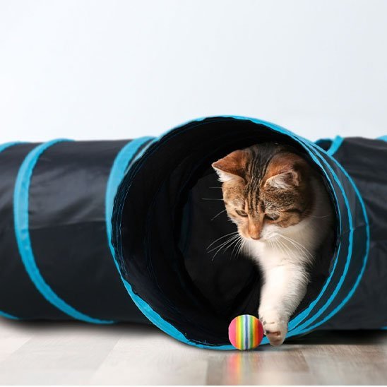 Tunnel pour chat pliable | Douillet - Happy Miaou